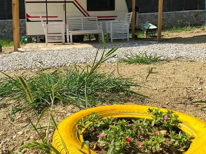 Carpe Diem Karavan 酒店 萨潘贾